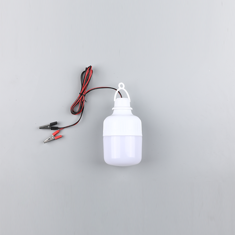 Led izzó-dc12v 24v