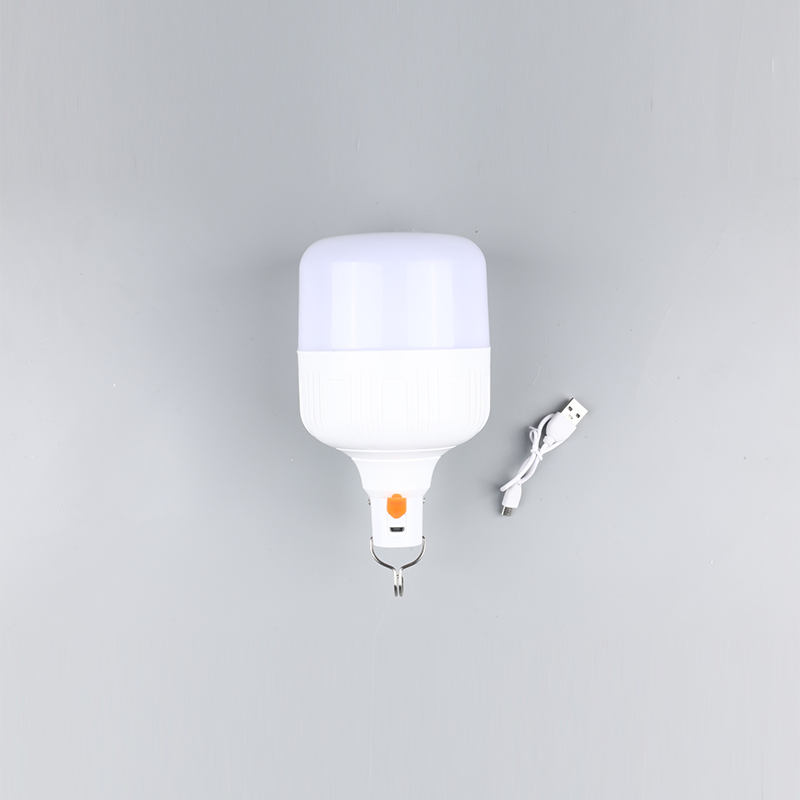 Led izzó-DC 12v 24v